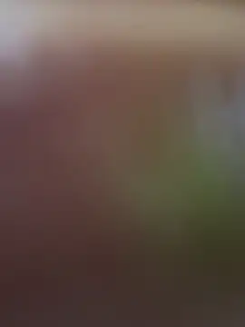 ManuelaVeeleez webcam