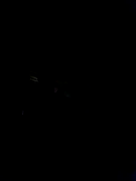 Marianatrans01 webcam