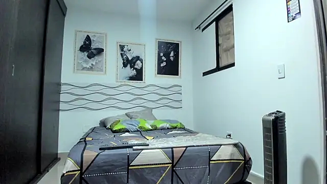 Benjamin_lich webcam