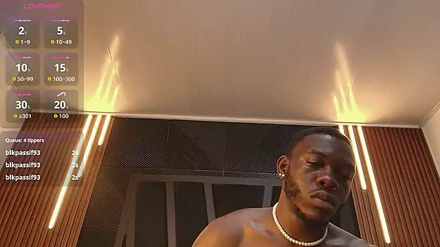 Oliver_Laurent_ webcam