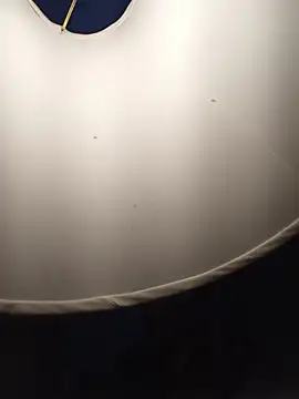 sexboybwc_assfucker webcam