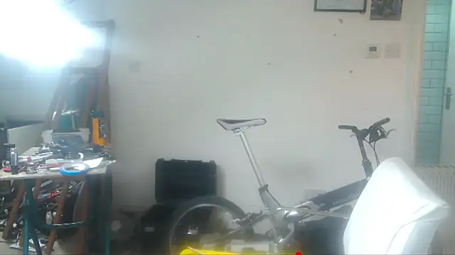 mista_sista_fista webcam