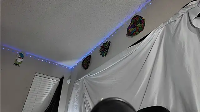 Triggerhappycj100 webcam