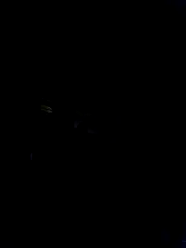 Marianatrans01 webcam