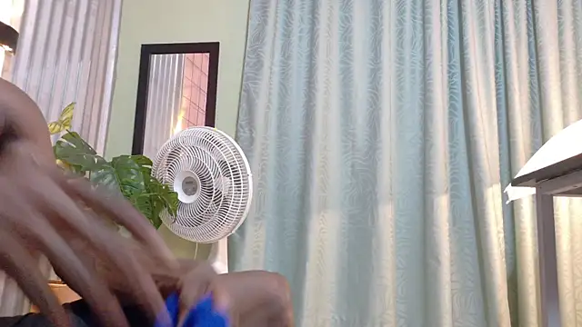 martin_killer webcam