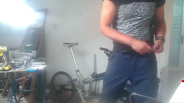 mista_sista_fista webcam