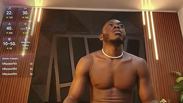 Oliver_Laurent_ webcam