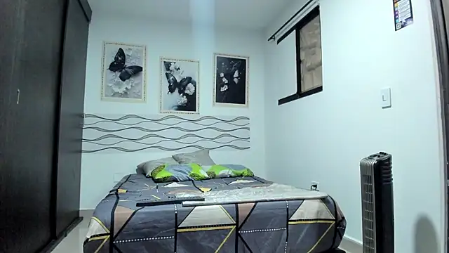 Benjamin_lich webcam