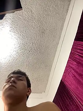 WhyNotDestroy webcam