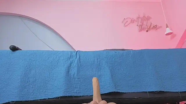 AllisonRoberts_ webcam