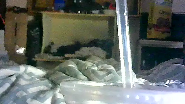 GUAPAN3S3_FIR3 webcam