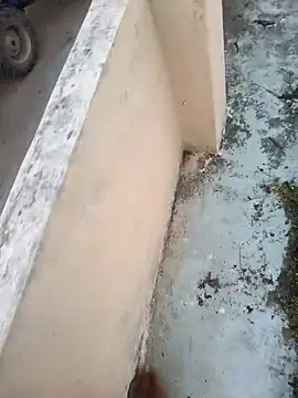 Desii_rockstarr webcam