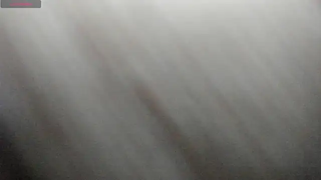 emily_palmeer webcam