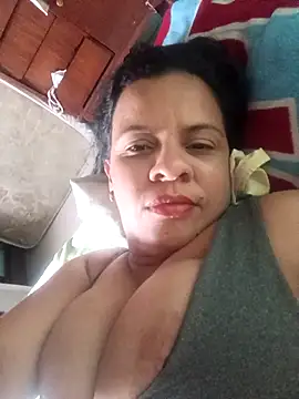 lapatronav2026 webcam