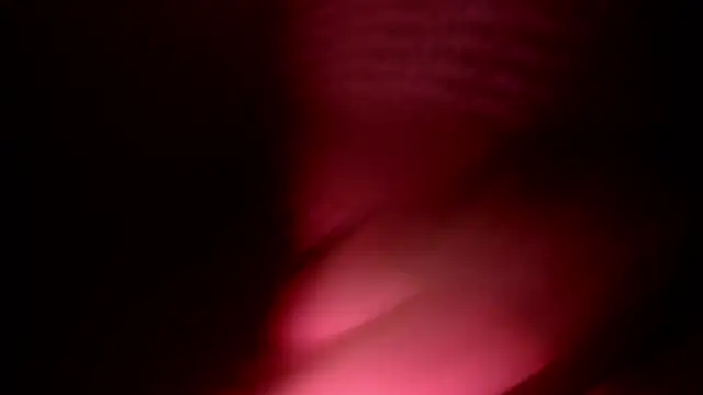 HoresCOCKLUCY webcam