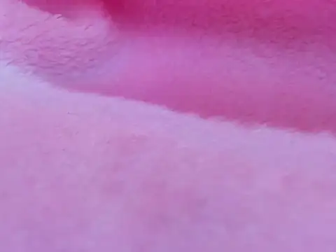 TiffanyMonrowHL webcam