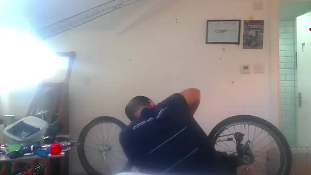 mista_sista_fista webcam