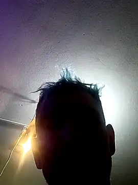 destroassbig2 webcam