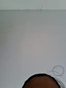 Alisson_Morgann webcam