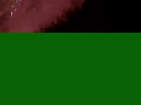 BlueCollarCouple webcam