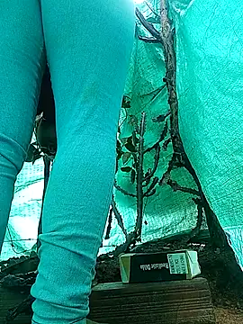 single_kitten webcam