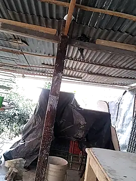 hoteder live sex cam