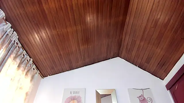 CelessteRedds webcam