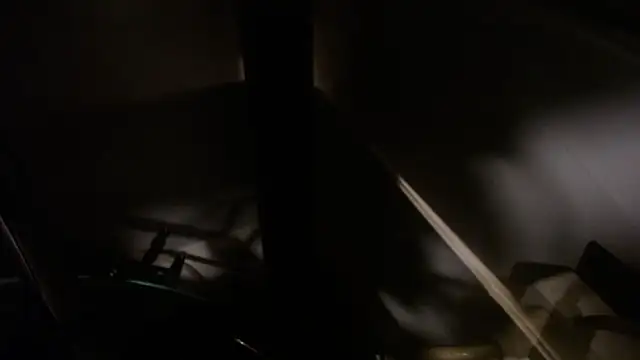 flexingplexico webcam