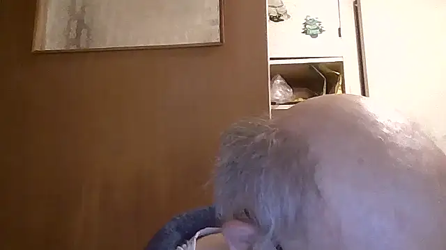 mariusica1@xh webcam