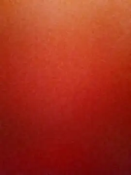 ElizabethWeil webcam