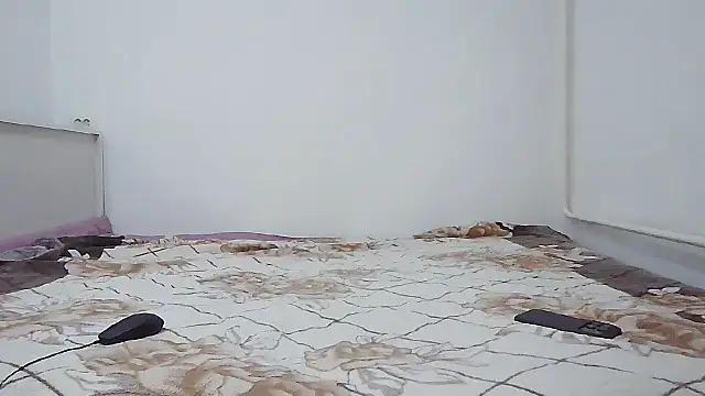 sakuradelreina webcam