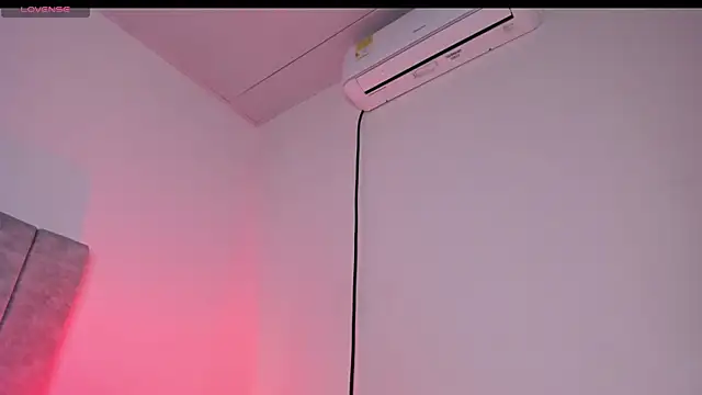 fuckyou_alexa webcam