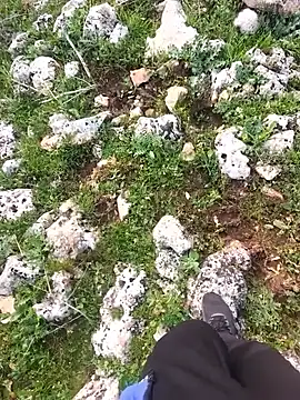 Sert_erkek21_ysm webcam