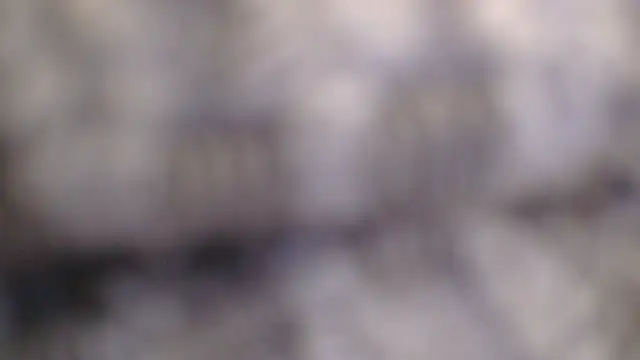 hungbottom603 webcam