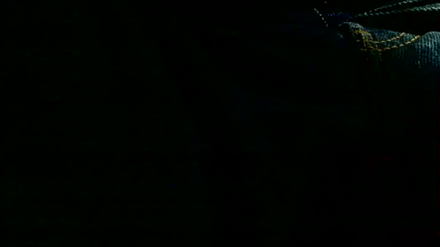 markluvskitty webcam