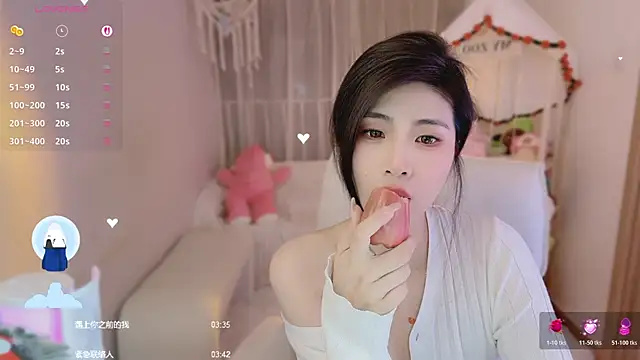 Vaidurya-Yolo webcam