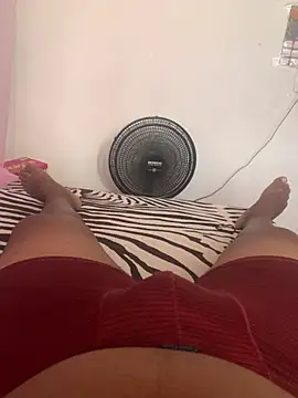 GordoSafadinho webcam