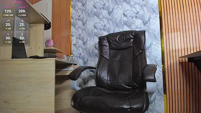 Hideintheoffice webcam