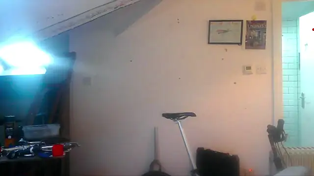 mista_sista_fista webcam