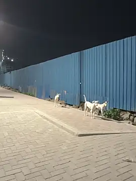 SinfulTemptation webcam