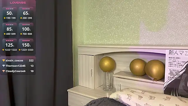 UpdatedRectus webcam