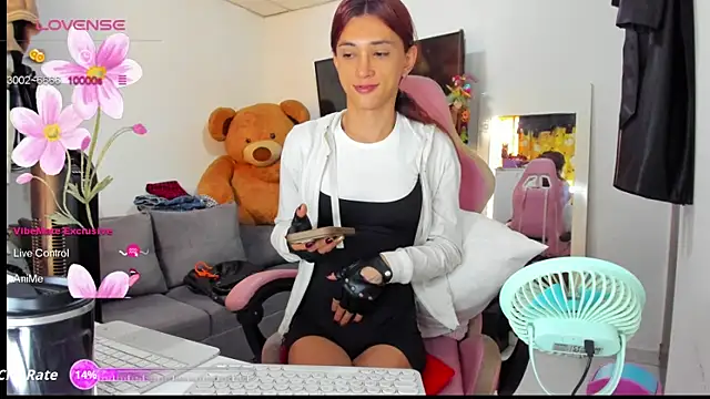 Lawrncesofiets webcam