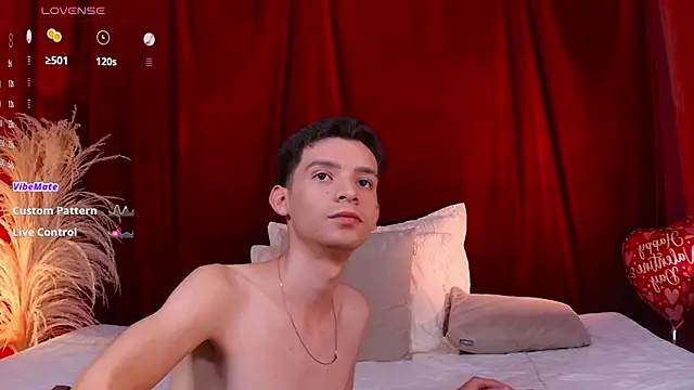 VicenteFerrer webcam