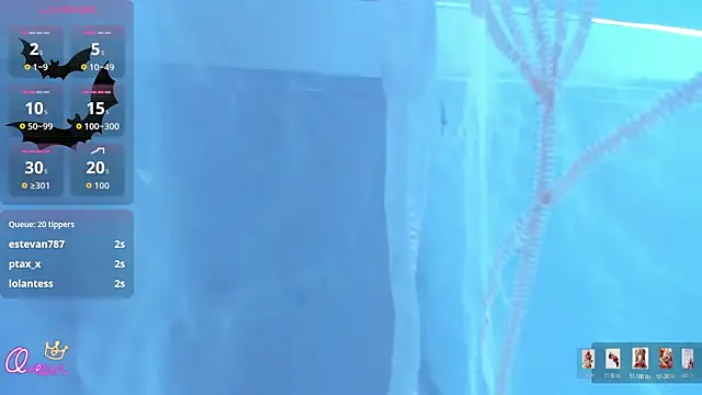 AliceStevens_ webcam