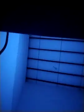 Yakpatiya7788 webcam