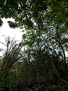 attractive-sexx (M young) - finger in the ass public toilet