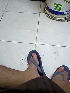 ConvoyedSubgroup webcam