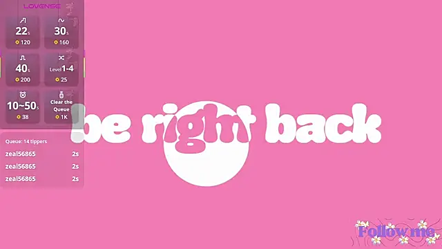 milita_houston webcam