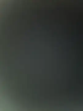 DominickVegas webcam