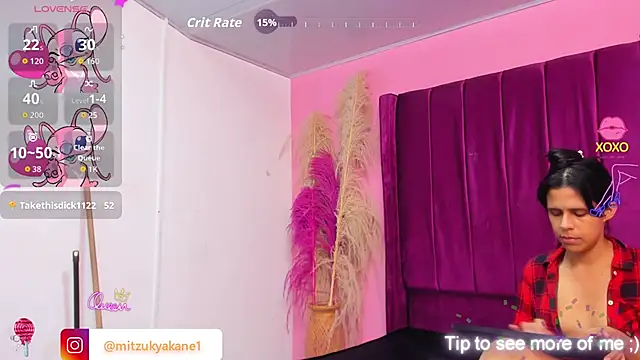 mitzukywinteer webcam